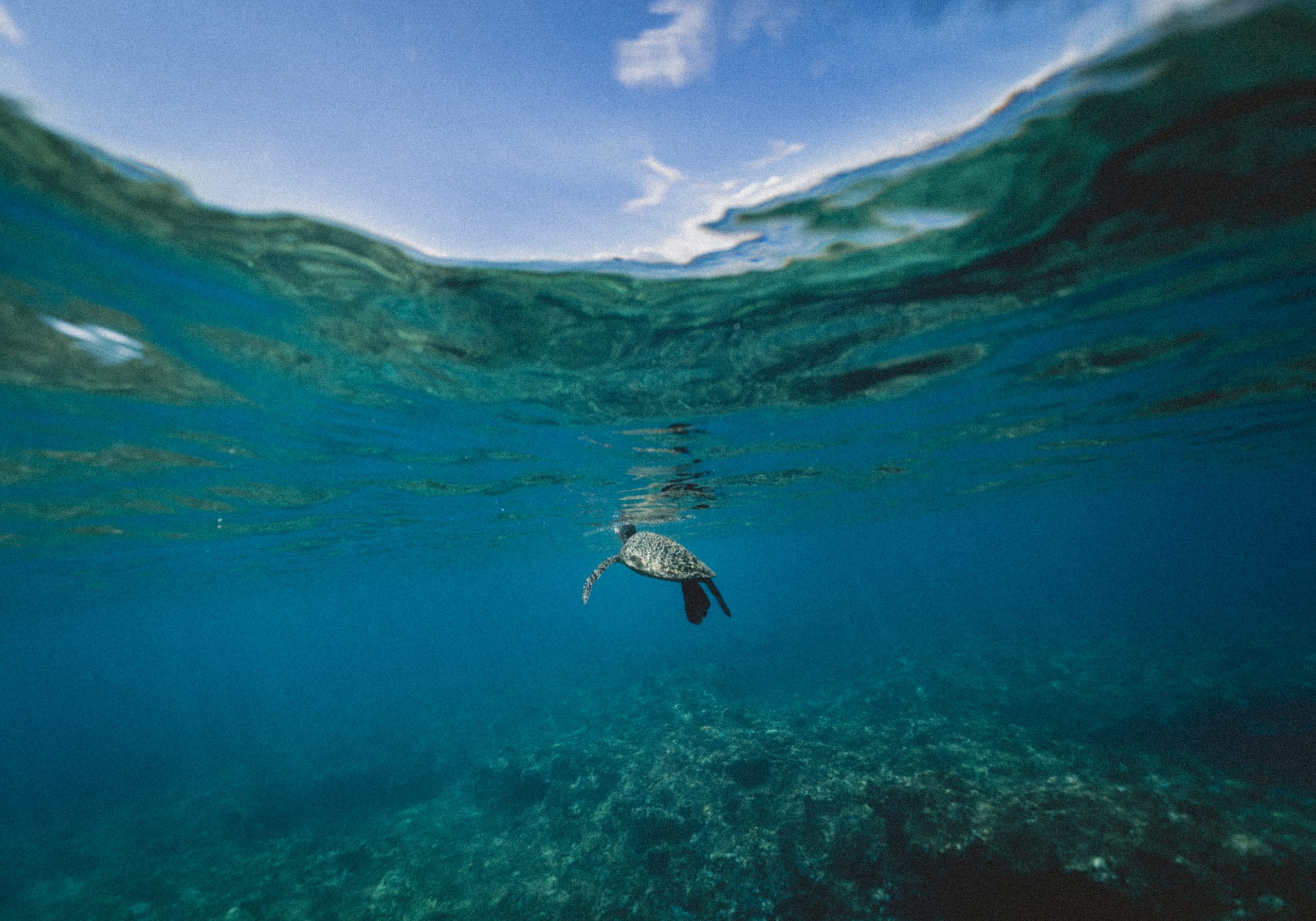 Things We Do That Are Harmful To The Ocean