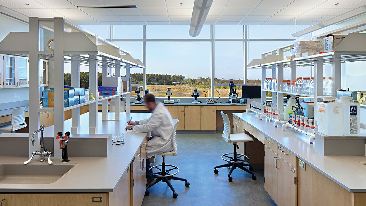 Check This Out For Laboratory Good Setup