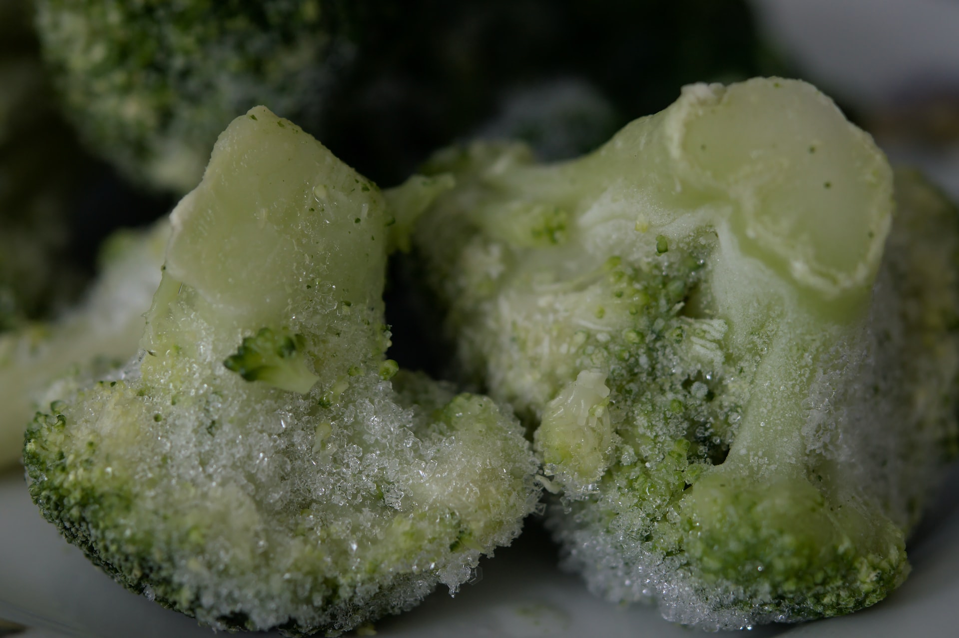 How freezer storage containers keep your food fresh